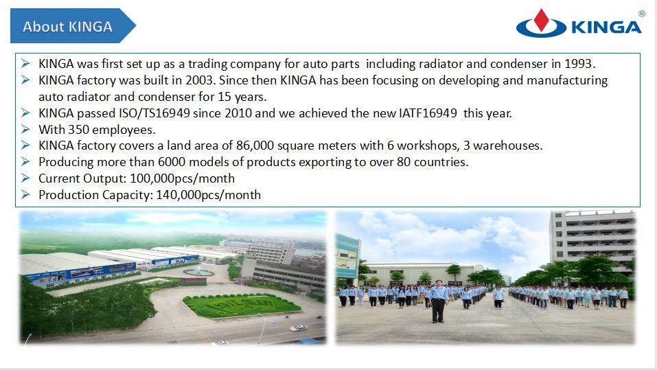 ABOUT KINGA ABOUT KINGA